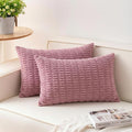Aegero Pack of 2 Corduroy Decorative Throw Pillow Covers 12x24 Inch by Unknown