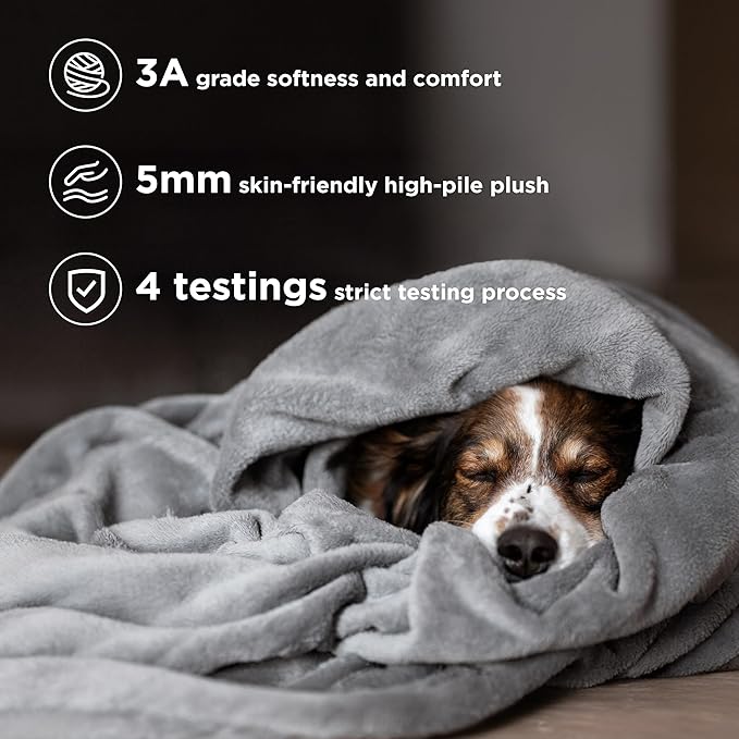 Bedsure GentleSoft Fleece King Size Blankets for Bed Grey - Soft Lightweight Plush Cozy Fuzzy Luxury Warm Winter Blanket Microfiber, Room Home Decor Gifts for Women and Men, 108x90 inches