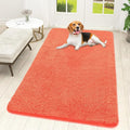 OLANLY Dog Door Mat for Muddy Paws 59x32, Super Absorbent Chenille Mud Mat | by OLANLY