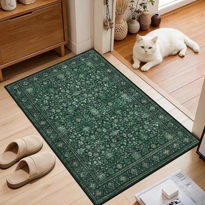 2x3 Area Rugs Living Room: Washable Rug - Image 2