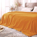 BEDELITE Fleece Blanket Soft Fall Queen Bed Blanket Burnt Orange 90"x90" | by BEDELITE