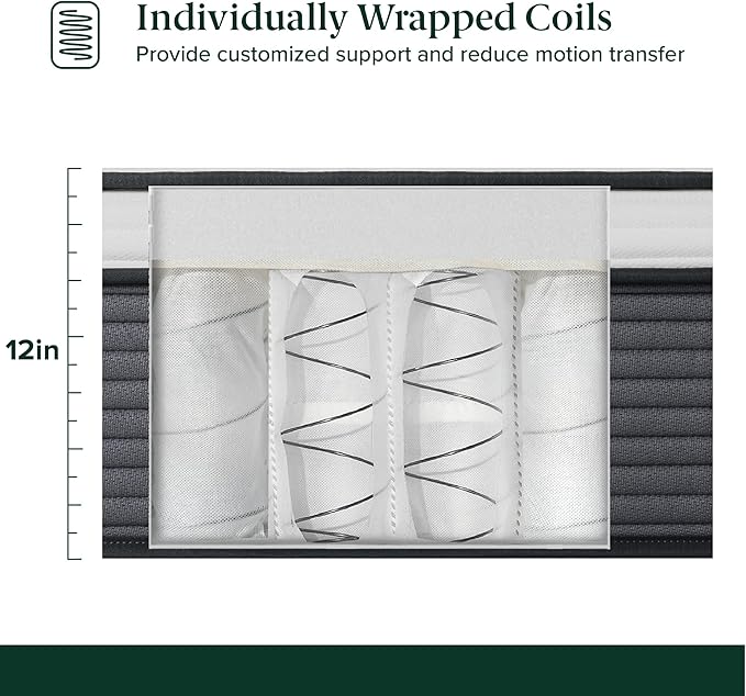 ZINUS 12 Inch True Support Hybrid Mattress [New Version], Queen, Fiberglass Free, Medium Feel, Motion Isolation, Certified Safe Foams & Fabric, Mattress in A Box