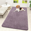 OLANLY Dog Door Mat for Muddy Paws 59x32, Super Absorbent Chenille Mud Mat | by OLANLY