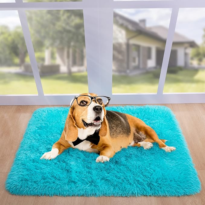 2x3 Blue Fluffy Soft Area Rug Non-Slip - Image 5