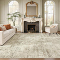 Soalmost Abstract 7x10 Area Rug by Soalmost
