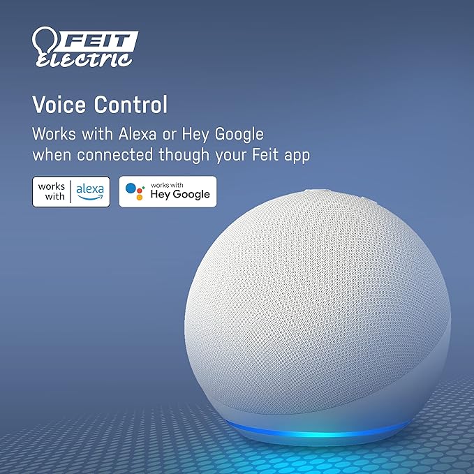 Feit Electric Smart BR30 Wifi Bulb, 5000K Daylight, 2.4GHz WIFI, No Hub Needed, Works with Alexa and Google Home Assistant, App Control, Dimmable, 65W Equivalent, Flood Light Smart Bulb, BR30/950CA/AG