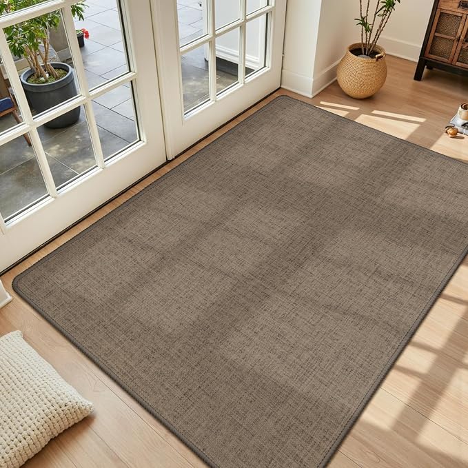Ultra Thin Indoor Door Mat 17"x29", Large Non Slip Doormats, Rubber Backing by LEKEEPGO