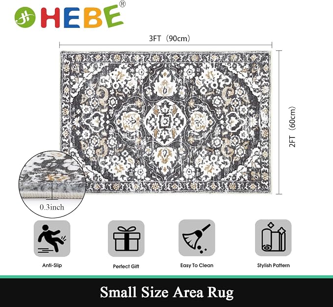 HEBE Indoor Door Mat 2'x3', Washable Welcome Mat - Image 2