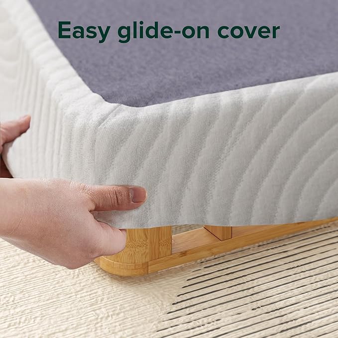 ZINUS Edgar 4 Inch Bamboo Box Spring, Mattress Foundation, Sturdy Bamboo Structure, Low Profile, Easy Assembly, Queen