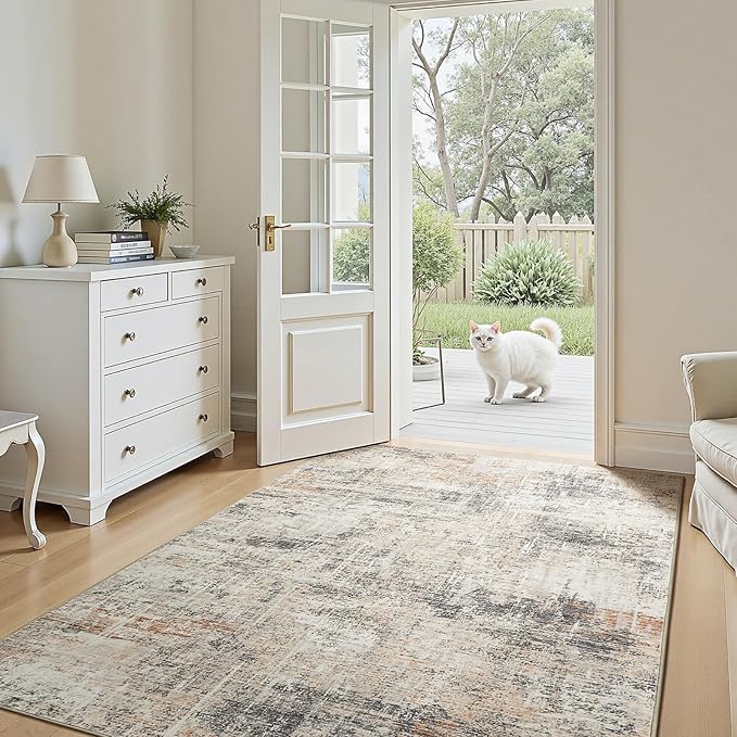 3x5 Area Rug for Entryway, Abstract Carpet for Bathroom Bedroom Tool Room by Lofus