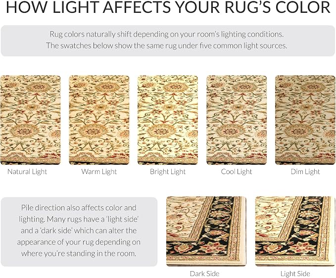 SAFAVIEH Lyndhurst Collection X-Large Area Rug - Image 9