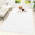 OLANLY Dog Door Mat for Muddy Paws 70x46, Super Absorbent Chenille Mud Mat | by OLANLY