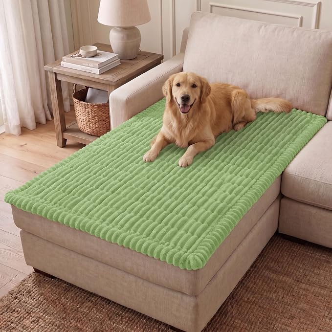 Couch Cover for Dogs, Washable Non Slip Plush Flannel Sofa Protector | Thick by hyha