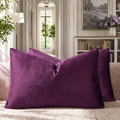 GIGIZAZA Velvet Pillow Covers 12x20 Decorative Pillows Pack of 2 Purple | Throw by GIGIZAZAFocusingonhomedecoration