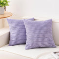 Aegero Pack of 2 Corduroy Decorative Throw Pillow Covers 18x18 Inch by Unknown