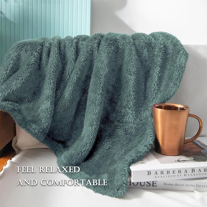 Exclusivo Mezcla Plush Fuzzy Fleece Bed Blanket King Size, Super Soft, Fluffy and Warm Blankets, Suitable for All Seasons (Celadon, 90x104 Inches)