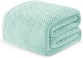 Exclusivo Mezcla Fleece Bed Blanket Twin Size, Super Soft and Warm Blankets for Couch, Sofa and Bed Waffle Textured, Cozy, Fuzzy and Lightweight (Mint Green, 60x80 inches)