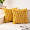 Aegero Pack of 2 Corduroy Decorative Throw Pillow Covers 24x24 Inch by Unknown