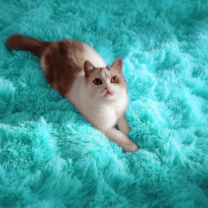 Soft Fluffy Teal Area Rugs for Bedroom Kids Room Shag Furry Carpet 4' x 6' | - Image 3