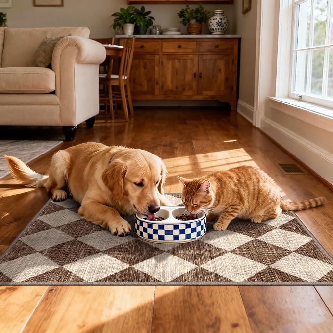 Checkered Entryway Rug - Image 6