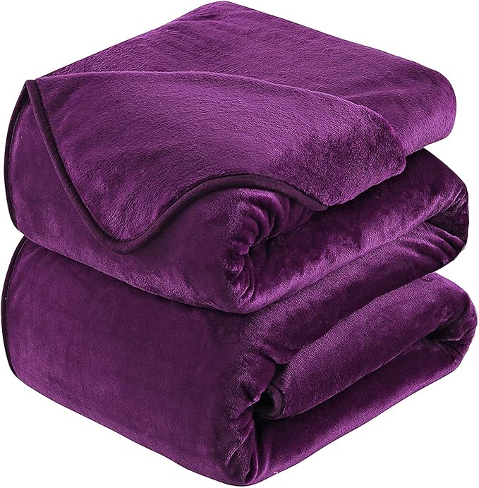 HOZY Soft Blanket Queen Size Fleece Warm Fuzzy Bed Blankets for The Bed Sofa Lightweight 350GSM Purple 90"*90"