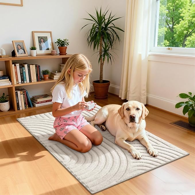 Pauwer 2x3 Area Rugs for Living Room, Modern Non Slip Washable Rug, Soft Fluffy - Image 7