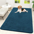 OLANLY Dog Door Mat for Muddy Paws 59x35, Super Absorbent Chenille Mud Mat | by OLANLY