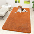 OLANLY Dog Door Mat for Muddy Paws 59x32, Super Absorbent Chenille Mud Mat | by OLANLY