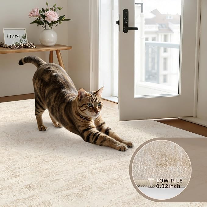 6x9 Area Rugs Living Room: Bedroom Washable Carpet Retro Beige | Large Vintage - Image 7