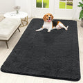 OLANLY Dog Door Mat for Muddy Paws 70x46, Super Absorbent Chenille Mud Mat | by OLANLY