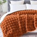 60x80 Inches Ultra-Soft Fuzzy Faux Fur Plush Twin Size Blanket by Serenhom