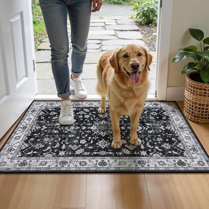 HEBE Indoor Door Mat 2'x3', Washable Welcome Mat - Image 8