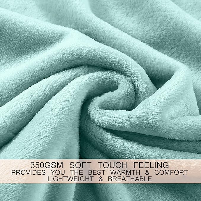Soft Queen Size Blanket for All Season Warm Fuzzy Microplush Lightweight Thermal Fleece Summer Autumn Fall Winter Spring Blankets for Queen Full Bed Couch Sofa,90x90 Inches,Sage Green