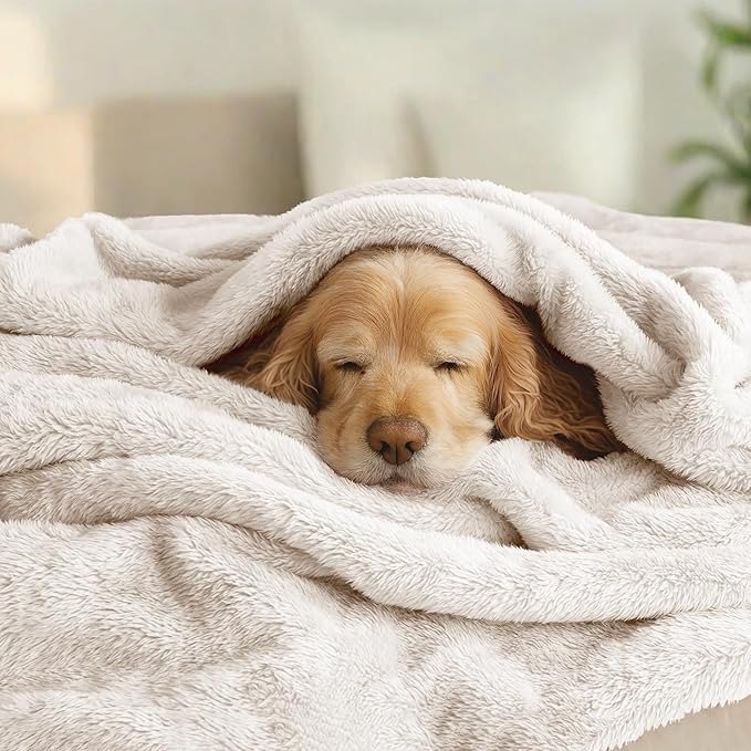 Exclusivo Mezcla Plush Fuzzy Fleece Bed Blanket Twin Size, Super Soft, Fluffy and Warm Blankets, Suitable for All Seasons (Beige, 90x66 Inches)