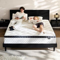 Queen Mattress in a Box, 10 Inch Hybrid Mattress with Individual Pocket Spring & Memory Foam, Motion Isolation, Medium Firm Comfort for Pressure Relief, CertiPUR-US Certified