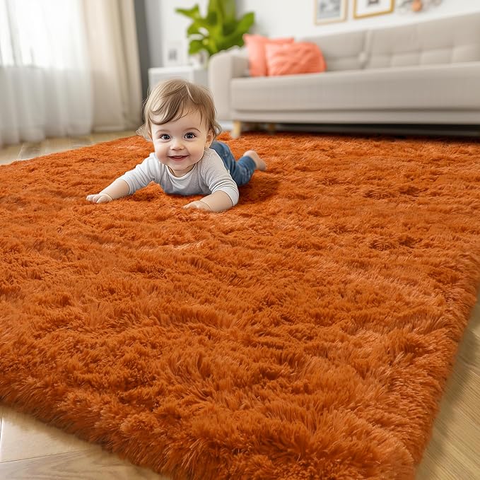 Amdrebio Burnt Orange Fall Shag Plush Area Rug 4x6 by Amdrebio