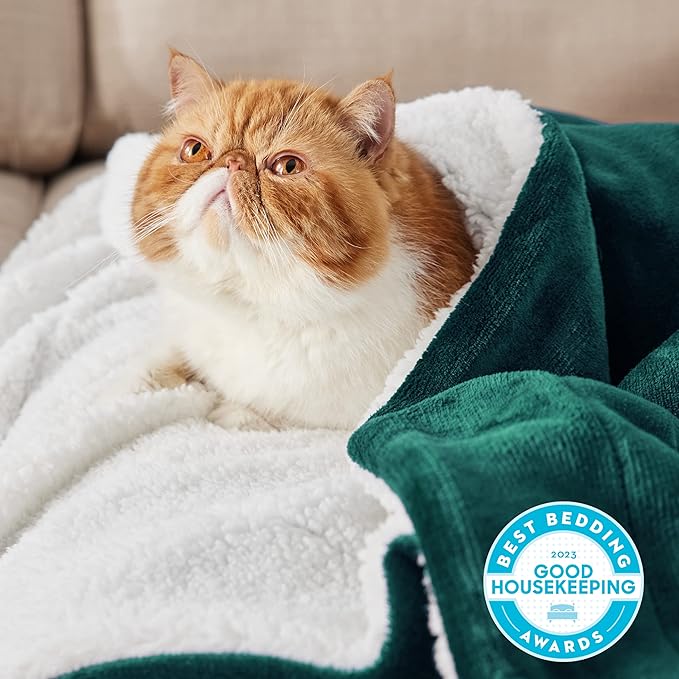 Bedsure GentleSoft Sherpa Fleece Blankets Queen Size for Bed - Thick and Warm Throw for Women and Men, Soft Fuzzy Plush Queen Christmas Blanket for Winter, Forest Green, 90x90 Inches