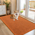 OLANLY Dog Door Mat for Muddy Paws 54x32, Super Absorbent Chenille Mud Mat | by OLANLY