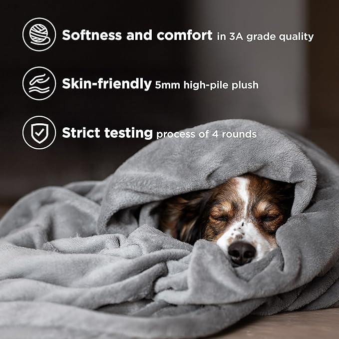 Bedsure GentleSoft Fleece Bed Blankets Queen Size Grey - Soft Lightweight Fuzzy Cozy Luxury Fall Blanket Microfiber, Room Home Decor Christmas Decorations Gifts for Women and Men, 90x90 inches