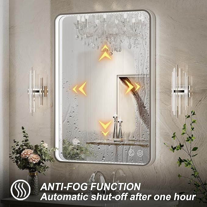 LED Bathroom Mirror with Lights,20x28 Inch Brushed Silver Framed Lighted Vanity Mirror,Anti Fog Stepless Dimmable Wall Mounted(Horizontal/Vertical)