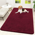 OLANLY Dog Door Mat for Muddy Paws 70x46, Super Absorbent Chenille Mud Mat | by OLANLY