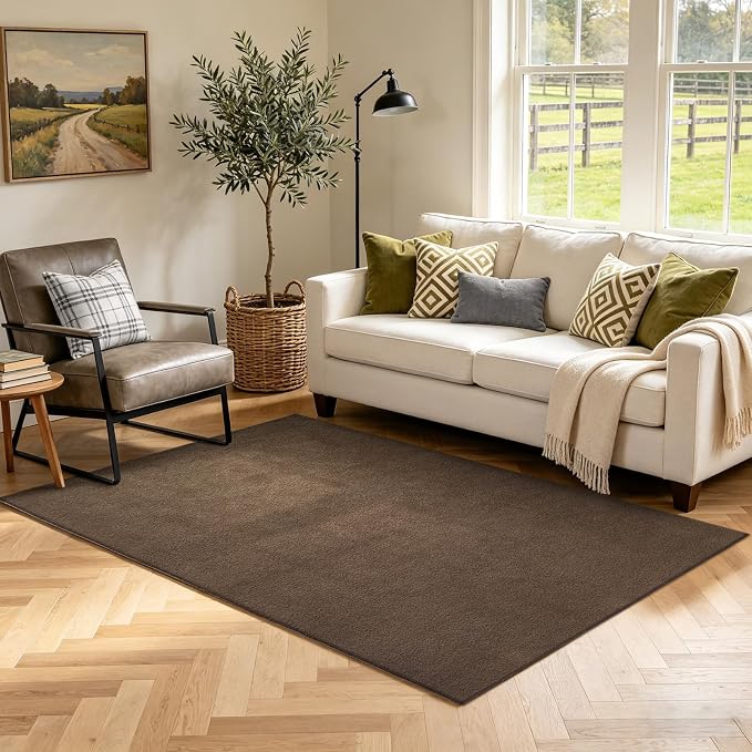 3x5 Beige Brown Solid Area Rug Washable Non-Slip Soft by Unknown