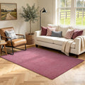3x5 Red/White Area Rug Washable Non-Slip Soft Thin by Unknown