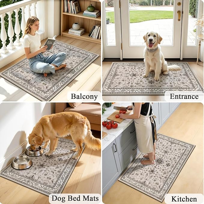 HEBE Indoor Door Mat 2'x3', Washable Welcome Mat - Image 6