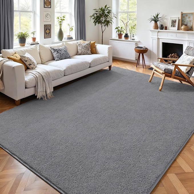 6x9 Area Rugs for Living Room Non Slip Dorm Bedroom Rug, Minimalist Washable by AROGANAREARUG