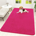 OLANLY Dog Door Mat for Muddy Paws 70x46, Super Absorbent Chenille Mud Mat | by OLANLY