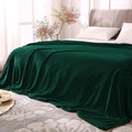 BEDELITE Fleece Blanket Soft Plush Queen Bed Blanket Forest Green 90"x90" | by BEDELITE