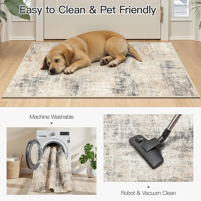 2x3 Area Rugs for Entryway Bathroom, Farmhouse Carpet for Entry Living Room - Image 5