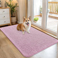 OLANLY Dog Door Mat for Muddy Paws 45x27, Super Absorbent Chenille Mud Mat | by OLANLY
