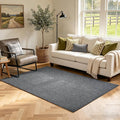 3x5 Black/White Area Rug Washable Non-Slip Soft Thin by Unknown